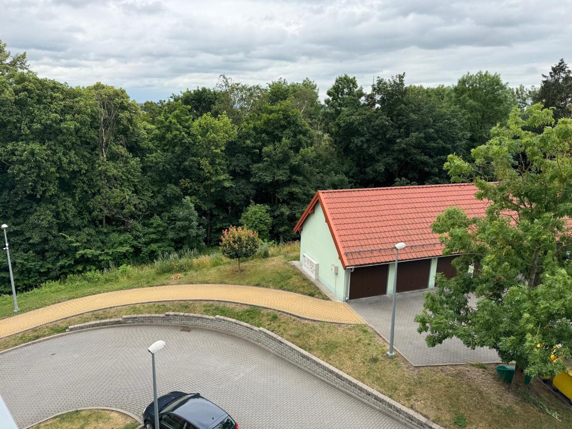 Bozki Apartament Ketrzyn Bagian luar foto
